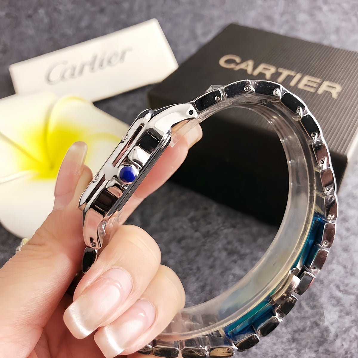 CT Montaigne Exclusive Watch